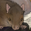 This rat seems friendlier then most! +1 Drive every 5th hour This rat seems friendlier then most! +1 Drive every 5th hour